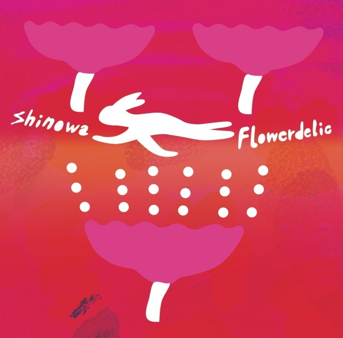 home of shinowaweb home of shinowaweb